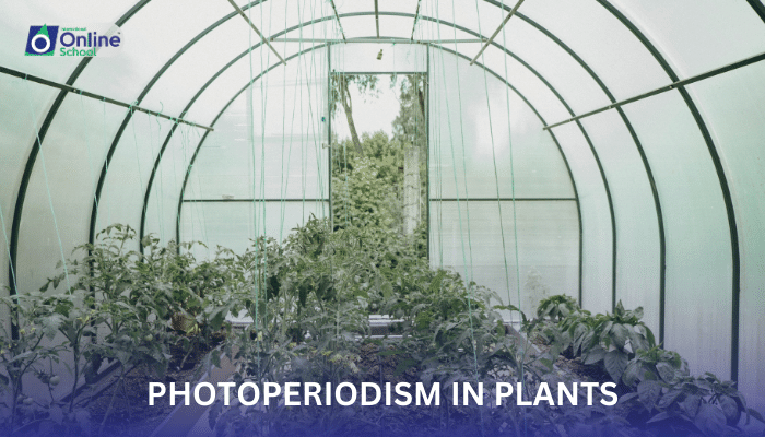 Lesson 24: Photoperiodism in Plants